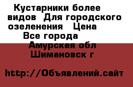 Кустарники более 100 видов. Для городского озеленения › Цена ­ 70 - Все города  »    . Амурская обл.,Шимановск г.